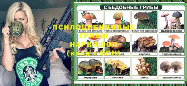 МДПВ Навашино