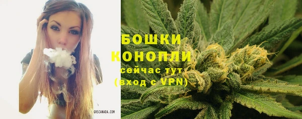 винт Наволоки