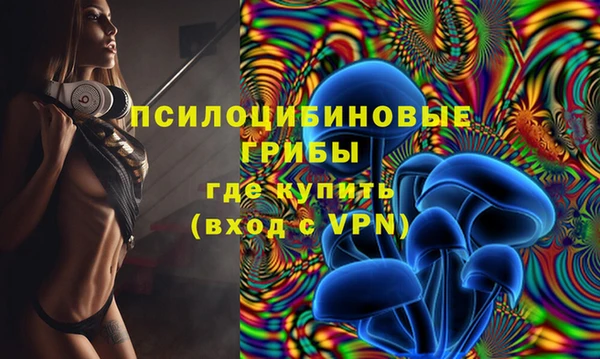МДПВ Навашино